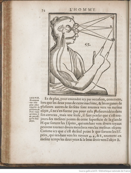 Fig. 1. L´homme de René Descartes, et la formation du fœtus. Avec les remarques de Louis de La Forge.