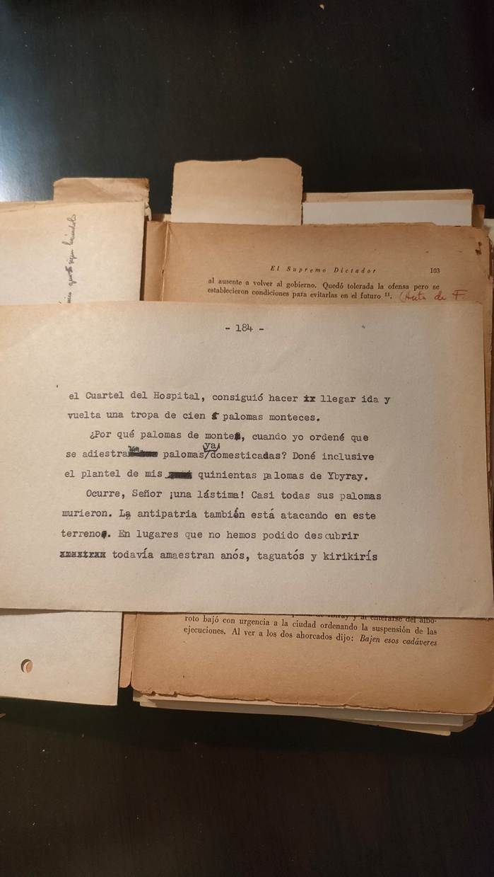 Foto 3 Ejemplo de material bibliográfico contenido entre las páginas de El Supremo Dictador de Julio César Chaves