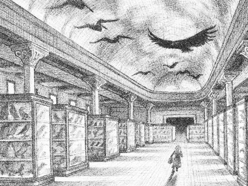 Figure 29 “The black birds”