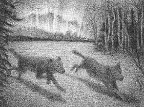 Figures 14, 15, 16, 17, 18 “The wolves”