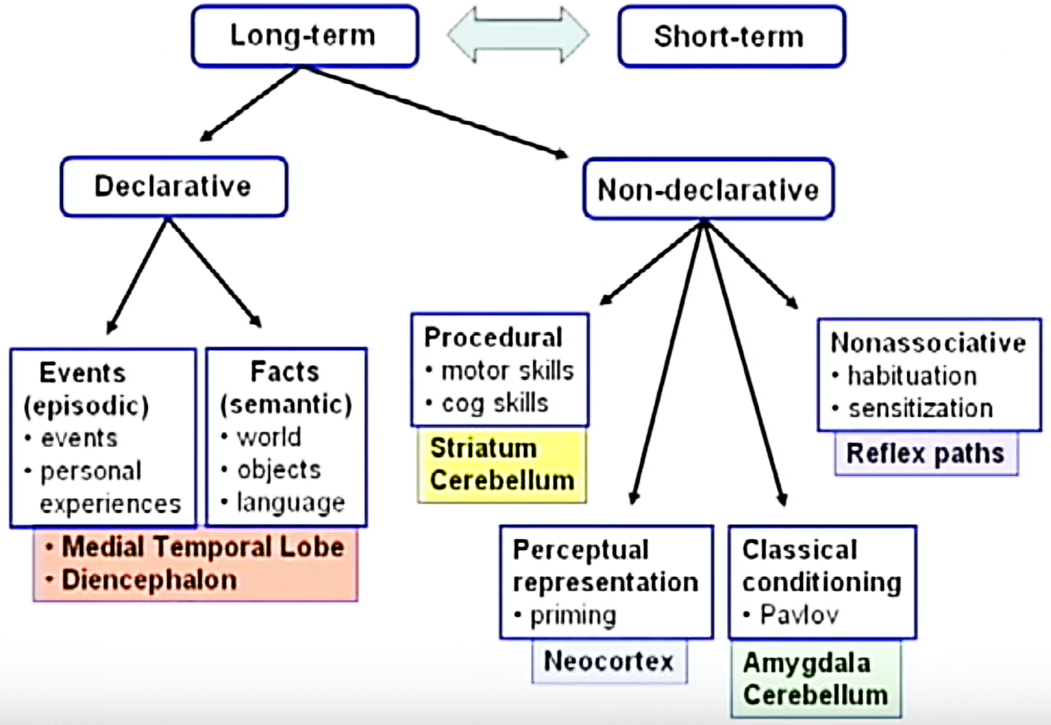 Fig 1. Schematic structural/functional organization of human memory. Autobiographical memory is a form of mostly declarative memory that is both episodic and semantic (modified from Squire, 2004).