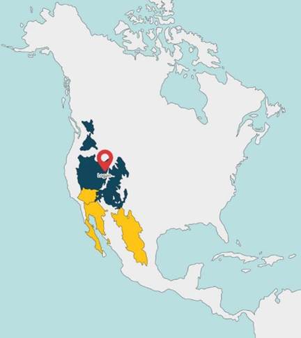 Figure 3. More intricate classification based on ecoregions.