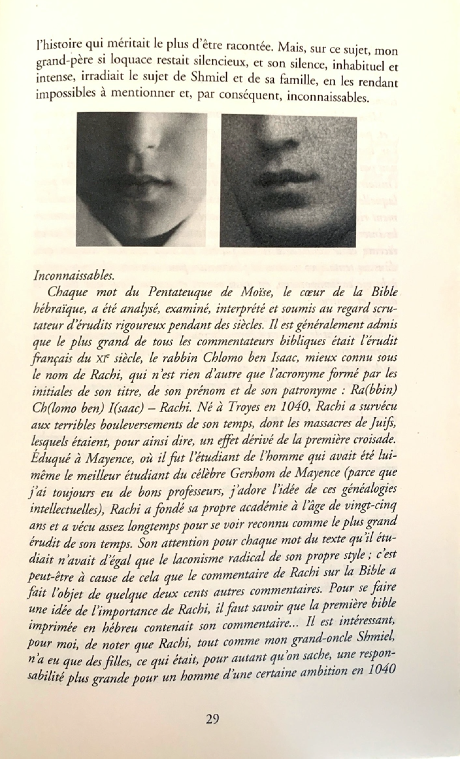 Daniel Mendelsohn, Les Disparus, traduction française de Pierre Guglielmina, Flammarion, « Essais », 2007, p. 29.