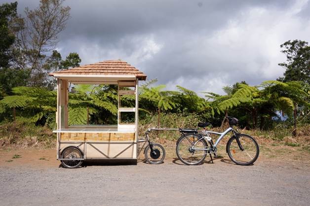 Fig. 27 : Latlyé Kamayann couvert et attelé, Parking de la salle polyvalente de Petite-France, commune de Saint-Paul, 2024. ©ADAGP