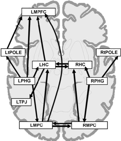 Fig 3. Brain areas involved in autobiographical memory. The figure shows that memory is not located in just one brain area, but memory representation is distributed across many interconnected areas (see for example, Addis et al, 2004).