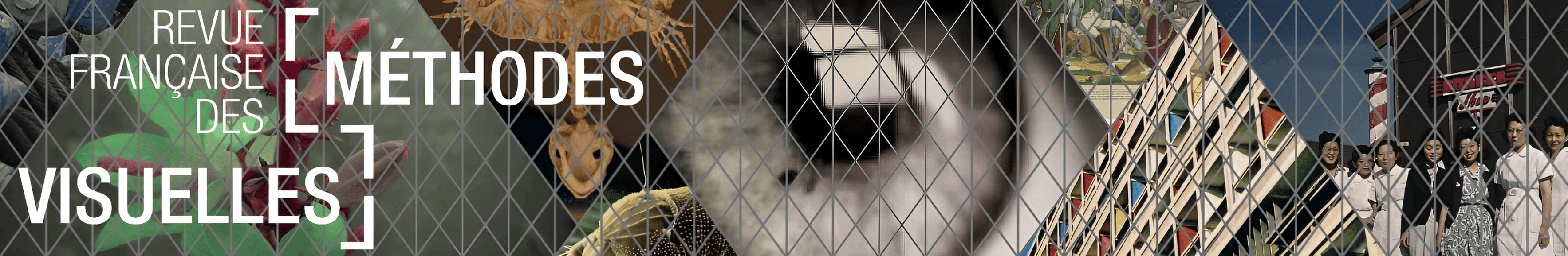 Revue française des méthodes visuelles
