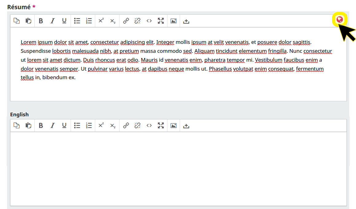 Cliquer sur la mappemonde en haut à droit du champ Résumé pour fermer les champs dans les autres langues
