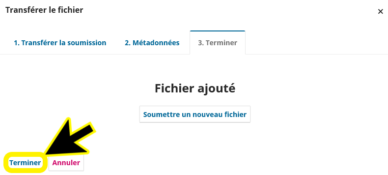 Cliquer sur Terminer